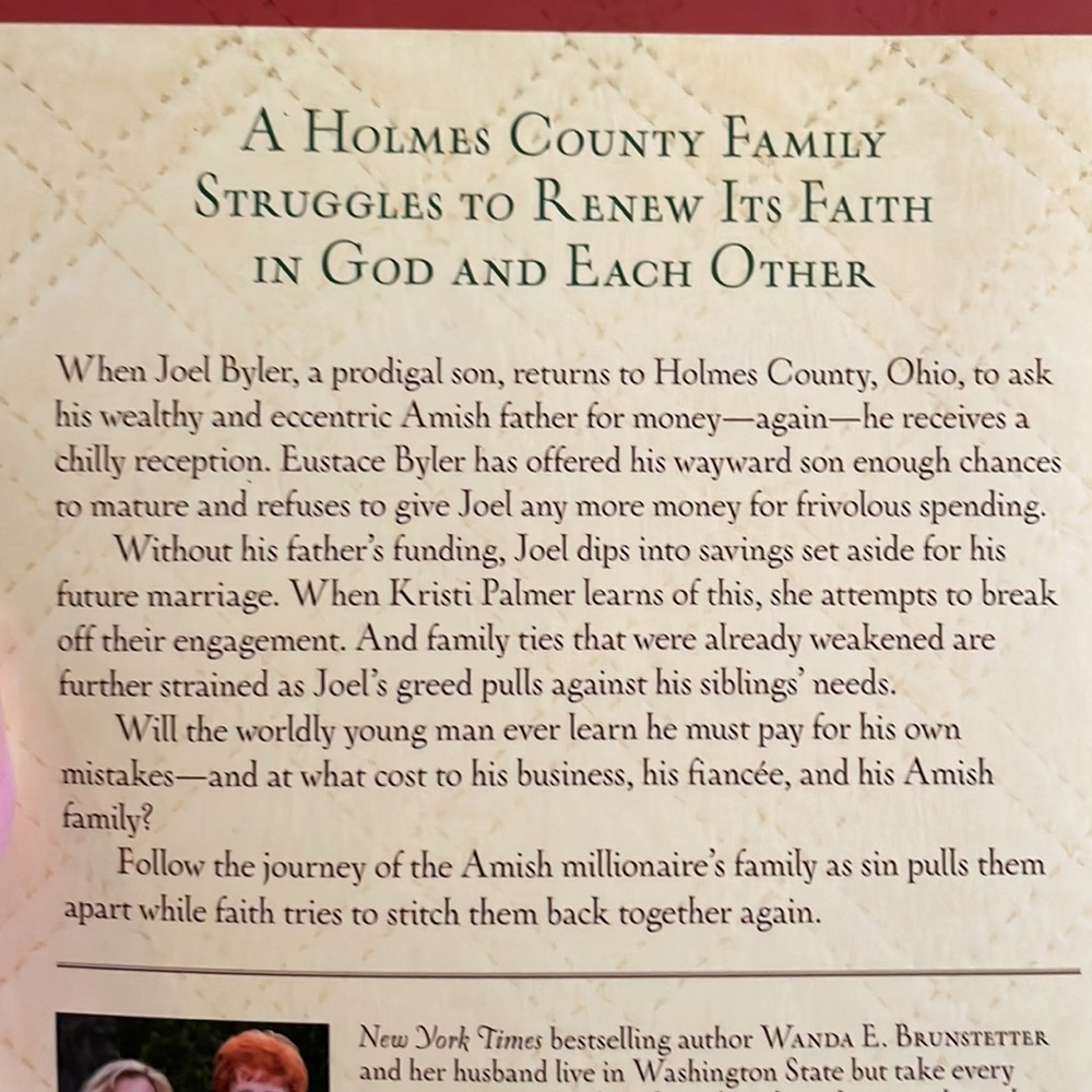 3 Amish Novels by authors Wanda Brunstettler, Elizabeth Byler Younts. - Picture 5 of 7